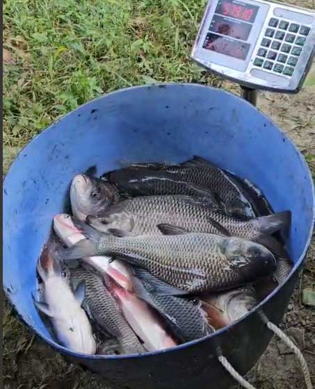 fishing
